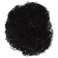 thumbnail image 1 of Freetress Synthetic Fullcap Drawstring - Nia Girl - 1B, 1 of 3