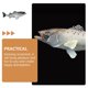 thumbnail image 2 of Simulation Weever Model Children Plaything Fish Figure Marine Animal Model, 2 of 4