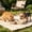 White, variant on Collapsible Silicone Double Pet Bowl, Portable Foldable Food Water Feeding Bowl for Dog Cat Outdoor Travel Camping Walking