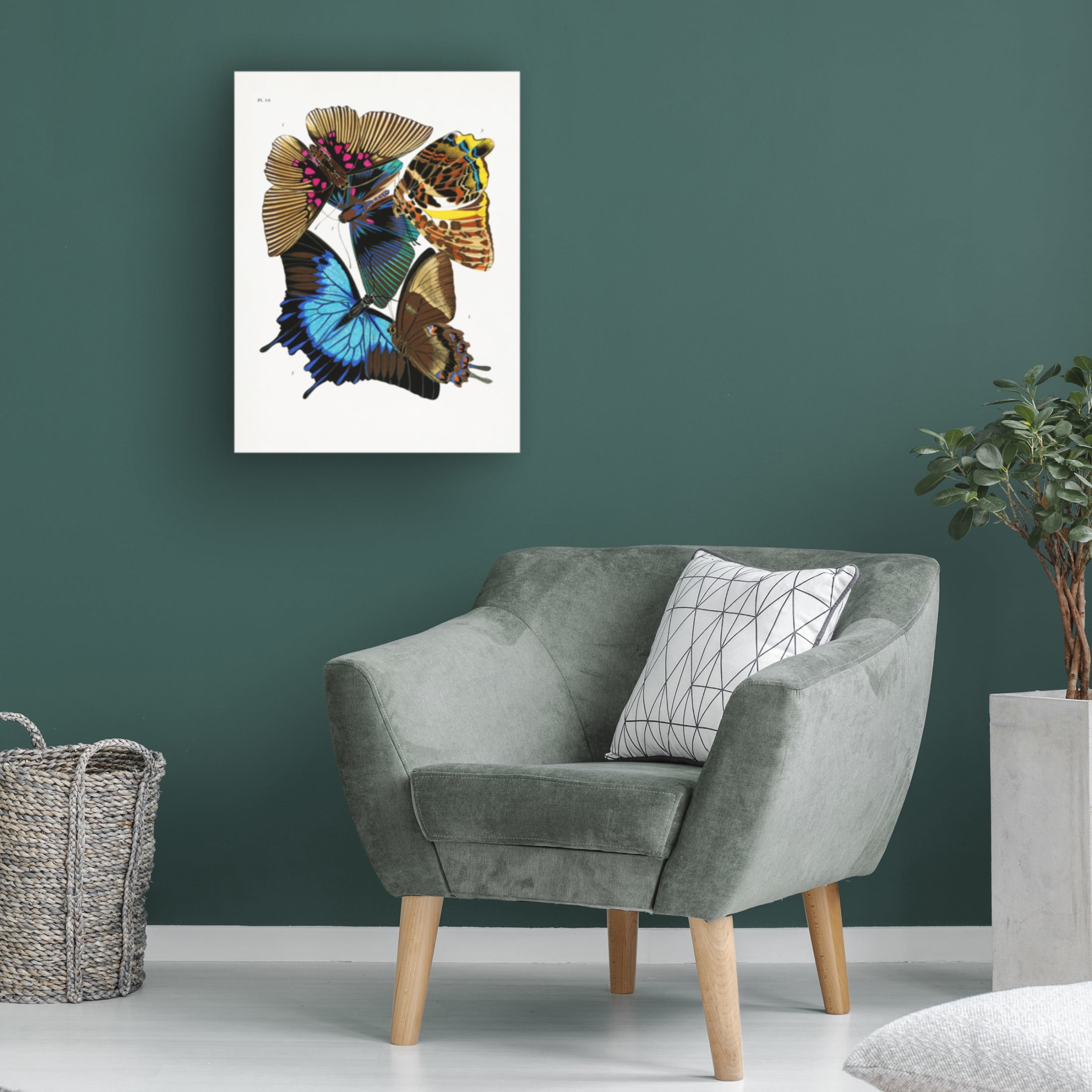 Trademark Fine Art Pictufy Butterflies 4 Canvas Wall Art