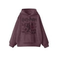thumbnail image 3 of Harry Potter Little and Big Boys Horcruxes Graphic Hoodie, Sizes 4-18, 3 of 8
