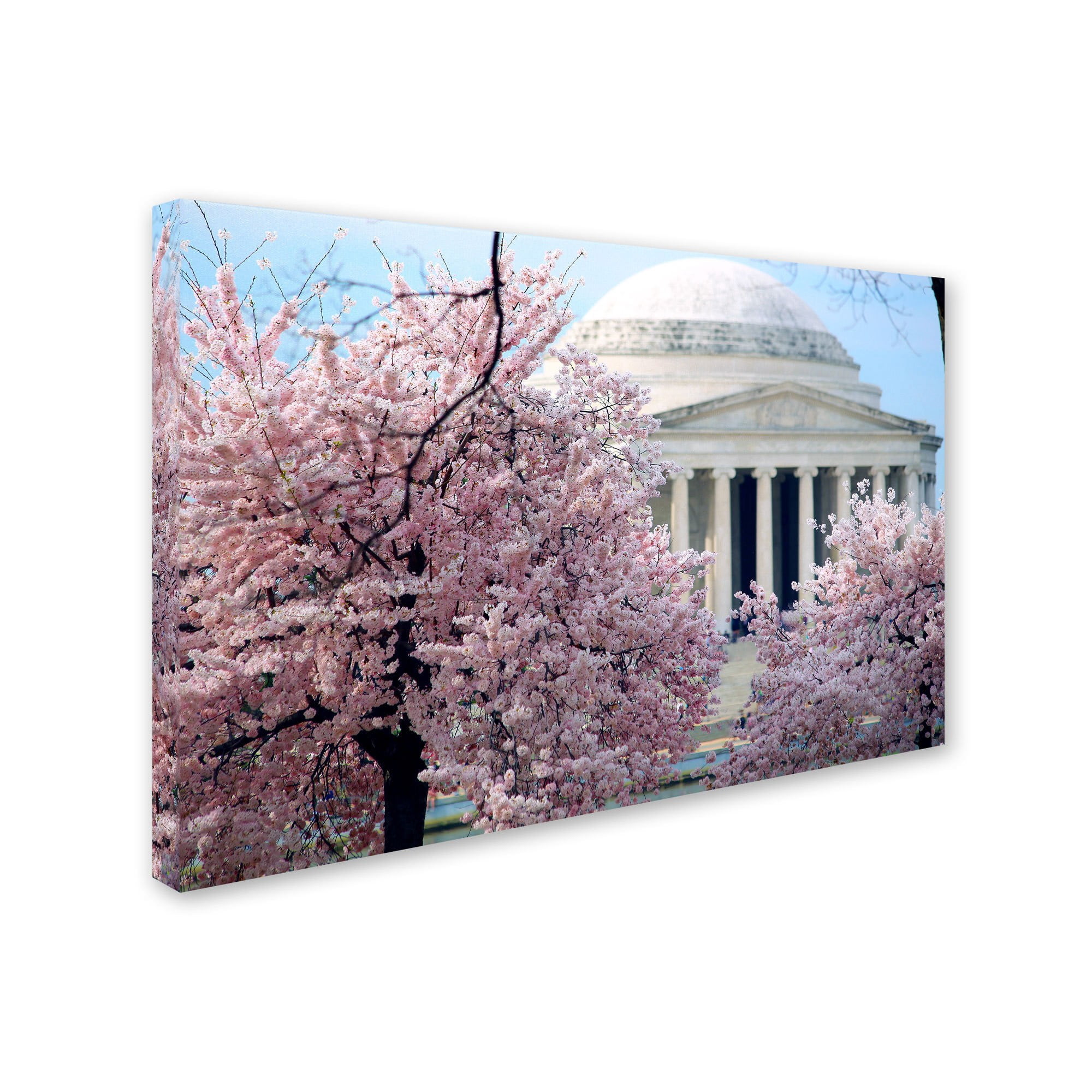 Trademark Fine Art "Cherry Blossoms 2014-7" Canvas Art by CATeyes