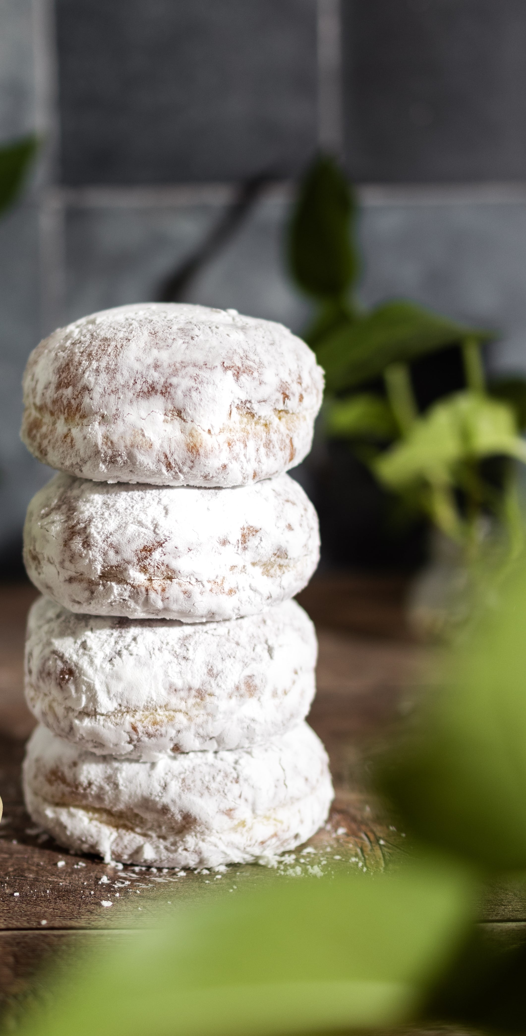 Cream Cheese Flavored Powdered Paczki Donut, 4 Count, 14.81 oz