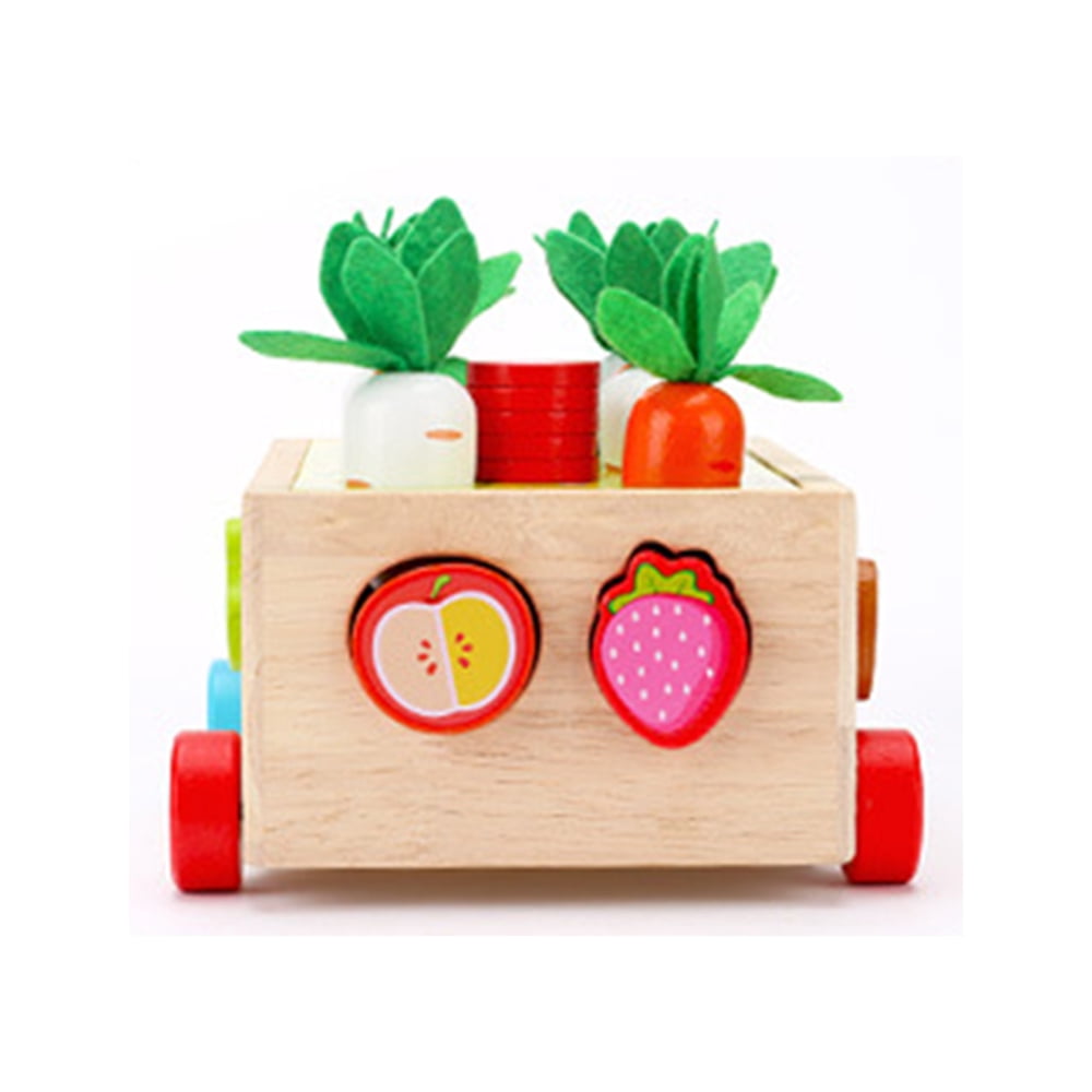 Multiple Shape Puzzle Colorful Montessori Toys Wood Fruit Puzzle For