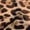 Z1 Khaki, variant on Womens Mesh T Shirts Tops Fashion Base Coat Leopard Print Long Sleeve Ladies Clothing,Khaki,L