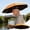 Orange, variant on Fishing Umbrella Hat Folding Adjustable Sun Rain Cap, 27" Hands Free Umbrellas, 8-Ribs Anti-UV Waterproof Headwear for Fishing Gardening Golf Sunshade Outdoor