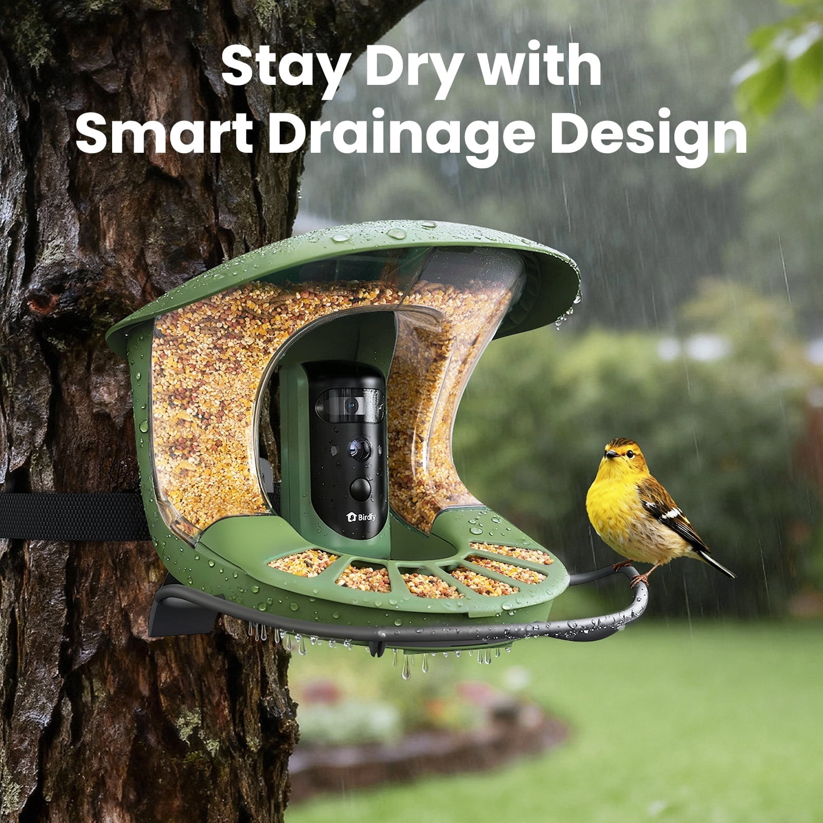 Birdfy Smart Bird Feeder with Camera, Dual-Lens, Solar-Powered, Auto-Capture Close-Ups & AI Identification with 99% Accuracy, Perfect Gift for Bird Lovers
