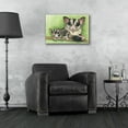 thumbnail image 4 of Epic Art 'Sugar Glider' by Barbara Keith, Acrylic Glass Wall Art, 24"x16", 4 of 8