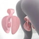 thumbnail image 3 of Entrenador de Cadera, Elevador de Glúteos, Fortalecimiento Del Pélvico, Ejercitador de Glúteos Musculares, Equipo de Entrenamiento Interno Del M Rosa Baoblaze entrenador de cadera, 3 of 8