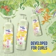 thumbnail image 3 of Champú Suave Kids Natural para cabello rizado con miel de almendras dulces, 490 ml, 3 of 4