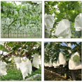 thumbnail image 5 of Redes de protección contra insectos y pájaros, bolsa de protección de frutas con cordón, bolsa de protección de uvas, protege frutas, flores, verduras, impermeable, transpirable, 5 of 5