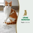 thumbnail image 2 of Cat Urine Remover Nature's Miracle Enzymatic 700mL, 2 of 9