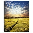 thumbnail image 2 of Tea Plantation under Cloudy Sky - Landscape Wall Art on Canvas, 2 of 3