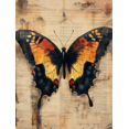 thumbnail image 1 of Qisvanset 12x16 Inch New Creation Butterfly Canvas Wall Art, Bible Verse Religious Poster Art Household Wall Decor, 1 of 8