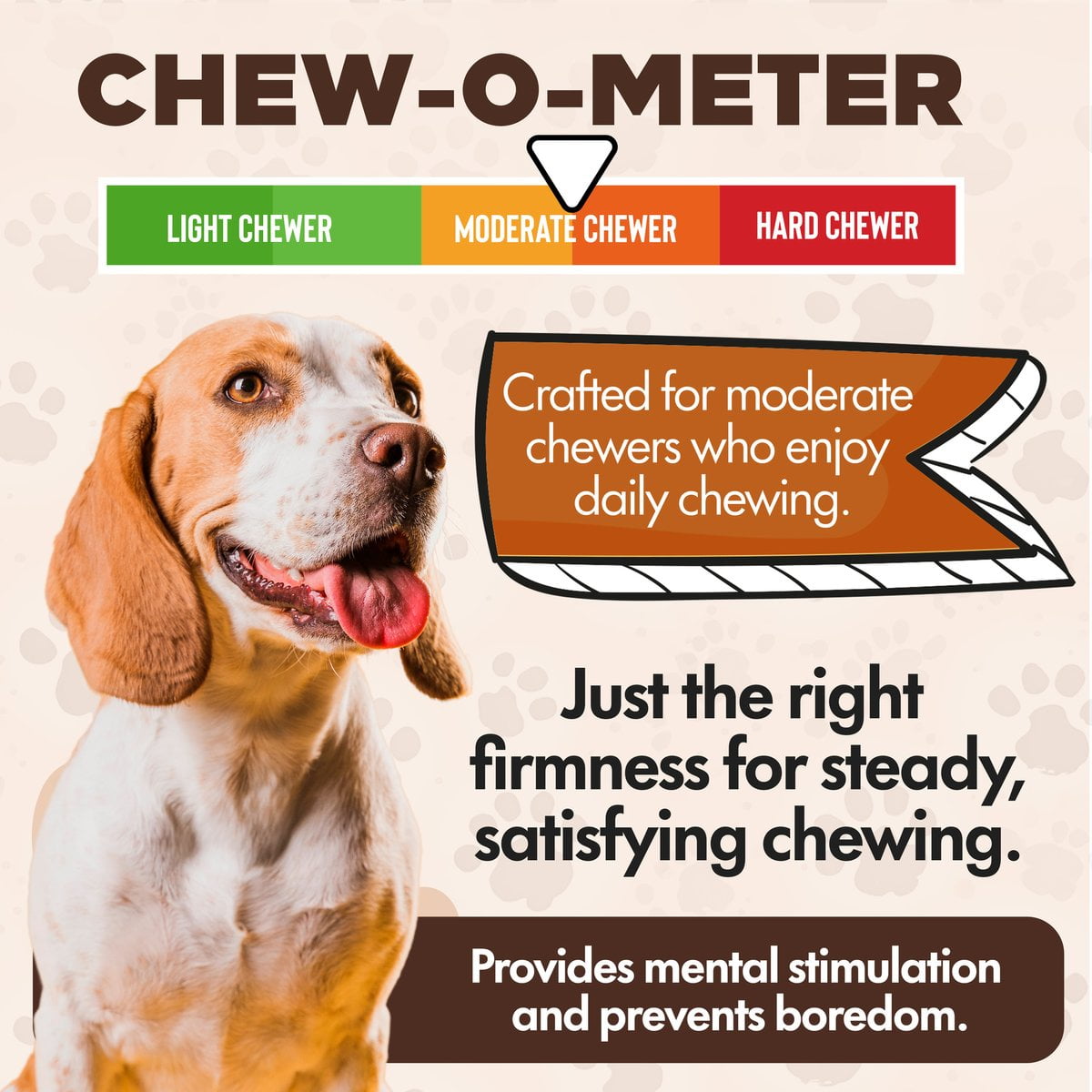 Scoochie Pet Chewka Bacon Flavored Plant-Forward Fully Digestible Dog Chew Bone, Large, 6CT