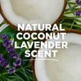 thumbnail image 3 of Tom's of Maine Natural Strength Plastic-Free Aluminum-Free Deodorant, Coconut Lavender, 2 oz., 3 of 8