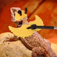 thumbnail image 3 of czcpp-Halloween Bearded Dragon Costume, Lizard Hat Leash Set, Reptile Bee Costume Bearded Dragon Leash for Lizard Reptile (Bee), 3 of 4