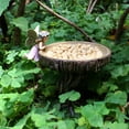 thumbnail image 3 of Elegant Bird Feeder Angel Girl Design Decorative Resin for Outside Butterfly, 3 of 8