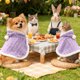 thumbnail image 4 of Manta para perros pequeños Manta para perros y gatos Chal de lana coral cálido con capucha, 4 of 6