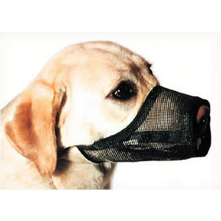 - Best Fit Dog Muzzle, Adjustable and Breathable, Size: 1, Inhibits biting, chewing and barking, but still allows for panting and drinking By Coastal