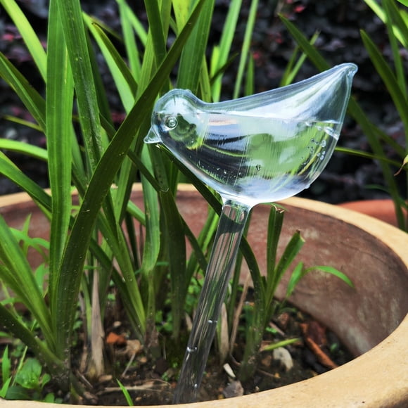 Automatic Garden Watering Bulbs for Self Watering Systems – Device for Indoor Outdoor Use Easy Auto Irrigation Solution