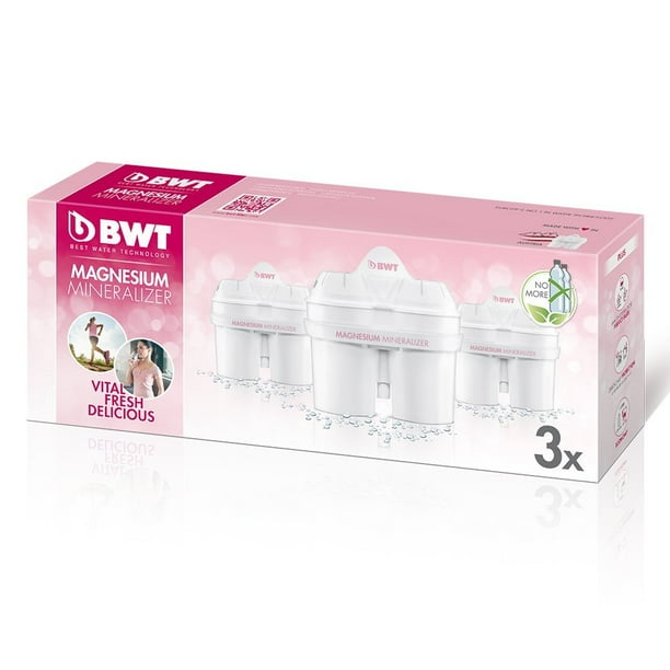 Shop Online Bwt Bestmax Canister Besthead Water Filtration System
