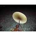 thumbnail image 4 of 21 Inch Round Pizza Stone, 4 of 4