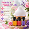 thumbnail image 5 of AMK Spring Home Diffuser Oil Set, 3 Pack Fragrance Scents – Myrtle, Rose Oud, Lavender Eucalyptus, 10ml Bottles, 5 of 6