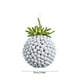 thumbnail image 2 of Colgante De Caramelo Con Forma De Rbol De Navidad, Decoracin De Plstico Transparente, Tamao Mini, Detalles De Caramelo, Para Decoracin Navidea, Decoracin Del Hogar, Manualidades De, UKHBMC, 2 of 7