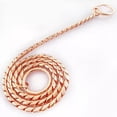 thumbnail image 1 of Collar De Acero Inoxidable Con Correa Para Perros Y Gatos, 1 of 1