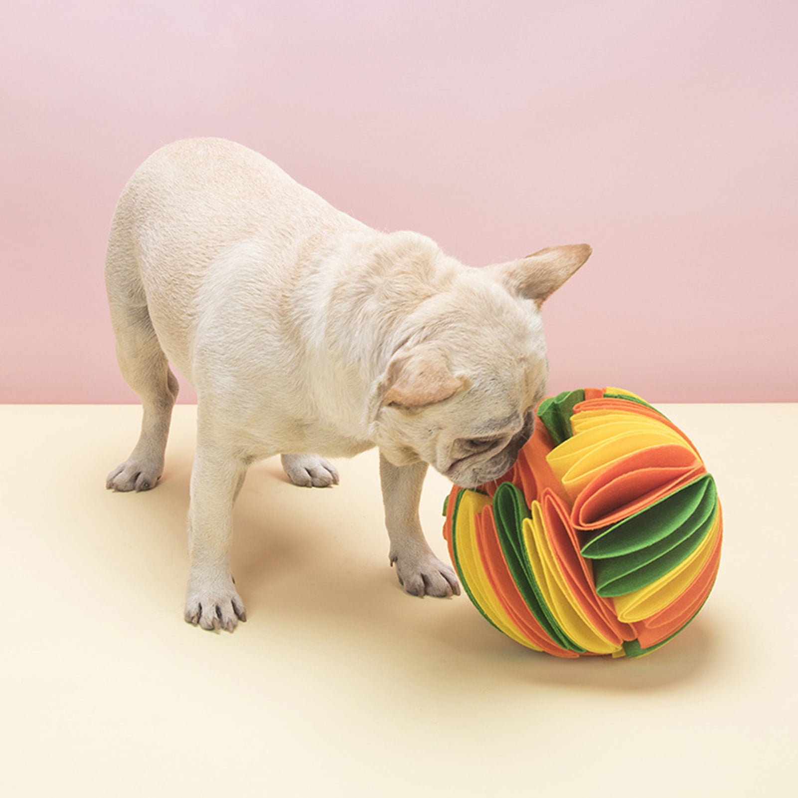 Opolski Pet Activity Treat Ball Toy Ball Adjustable Dog Treat Dog Ball  Treat Dispensing Dog Toys Transparent Surface Leaking Food Pet Interactive