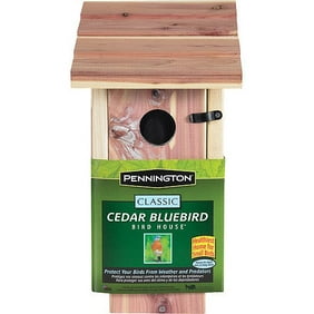 Birdhouse My Spy Peek Into The World Of Birds Walmart Com