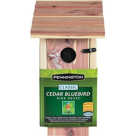 Pennington Cedar Bluebird Wild Bird House, 1 unit (Best Place To Put A Bluebird House)