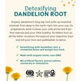thumbnail image 3 of Teeccino Dandelion Caramel Nut Tea - Caffeine Free, Roasted Herbal Tea with Prebiotics, 3x More Herbs than Regular Tea Bags, Gluten Free - 25 Tea Bags, 3 of 7