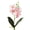 White, variant on Faux Orchid Maintenance Free Botanical Decor, Delicate Simulation Flora for Interior Renovation and Gathering Floral Arrangement