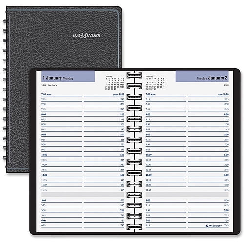 AtAGlance DayMinder Daily Appointment Books