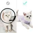 thumbnail image 4 of Traje de recuperación para gatos DOTON, ropa protectora posoperatoria, talla M, 4 of 5