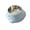 stainless steel bowls, variant on Dinosaur Shaped Dog Bowl, 7.5 X 6 X 5 Inches, Non-Slip Base For Small Medium Dogs