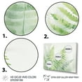 thumbnail image 3 of Designart "Green White peaceful Ferns IV" Abstract Botanicals Floater Framed Canvas Wall Art, 3 of 7