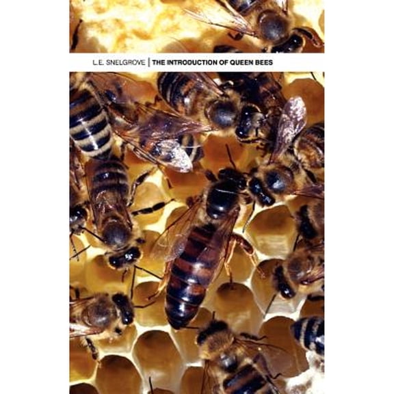 The Introduction of Queen Bees (Paperback)