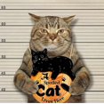 thumbnail image 4 of KAIYANG Letrero de madera con diseño de gato negro divertido, aquí vive un gato mimado, arte de pared para gatos, adorable regalo para amantes de los gatos, decoración de criaderos, placa colgante par, 4 of 5