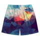 thumbnail image 1 of Hombres y mujeres Cinco puntos Deportes transpirables Surf Impresión 3D Playa Vacaciones Playa Pantalones cortos Bañadores Fridja  fhjkhfk461632, 1 of 3