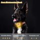 thumbnail image 3 of Luz LED intermitente de seguridad para perros, amarilla, para gatos, recargable por USB, 3 modos de parpadeo, luces de seguridad impermeables para mascotas, 3 of 5