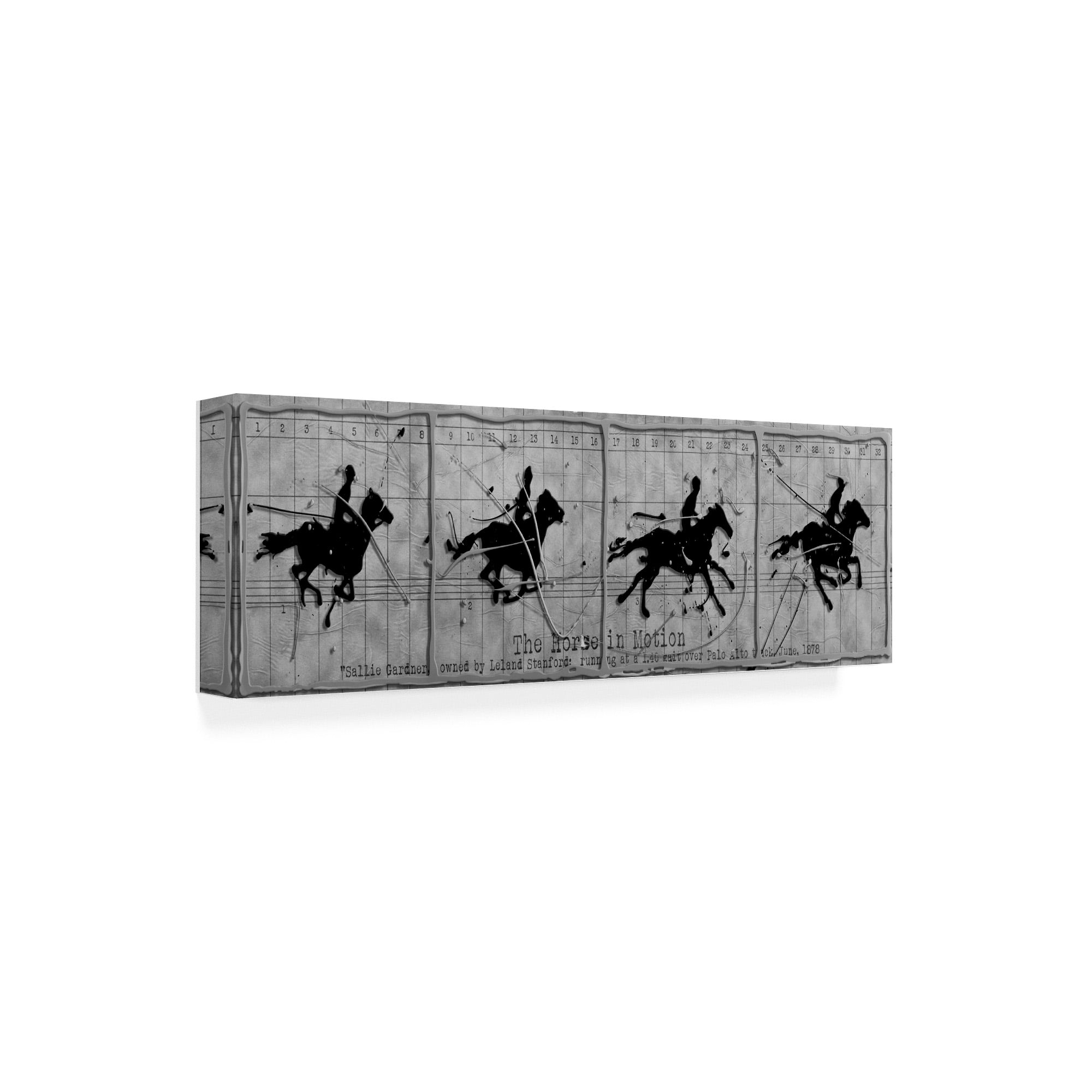 Trademark Fine Art 'Horse in Motion' Canvas Art by Roderick Stevens