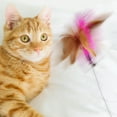 thumbnail image 5 of Yuehao Pet Supplies Cat Feather Collar Toy Interactive Cat Toys for Indoor Cats Teasing Stick Collar Funny Cat Toys with Bells and A Variety of Ways to Play for Cats, 5 of 9