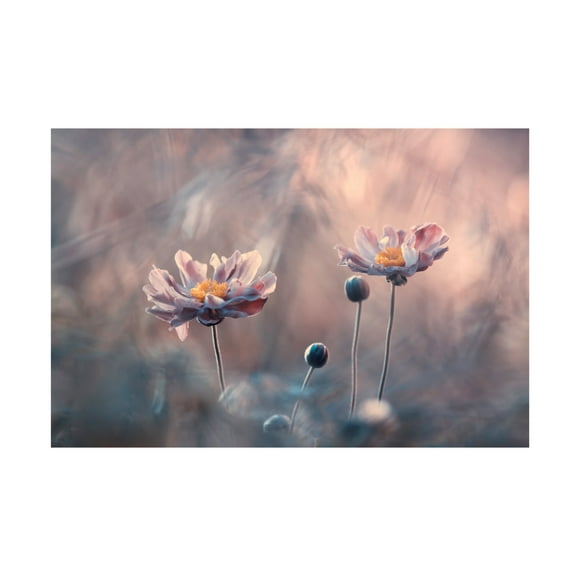 Canvas Wall Art - Fabien Bravin 'With Love' Wall Art for Living Room, Bedroom, or Office D?cor by Trademark Fine Art - 19 x 12 Inches