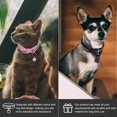 thumbnail image 2 of 5Pcs Reflective Cat Collars Cat Dog Collars Decorative Kitten Collars Portable Puppy Collars with Bell, 2 of 8