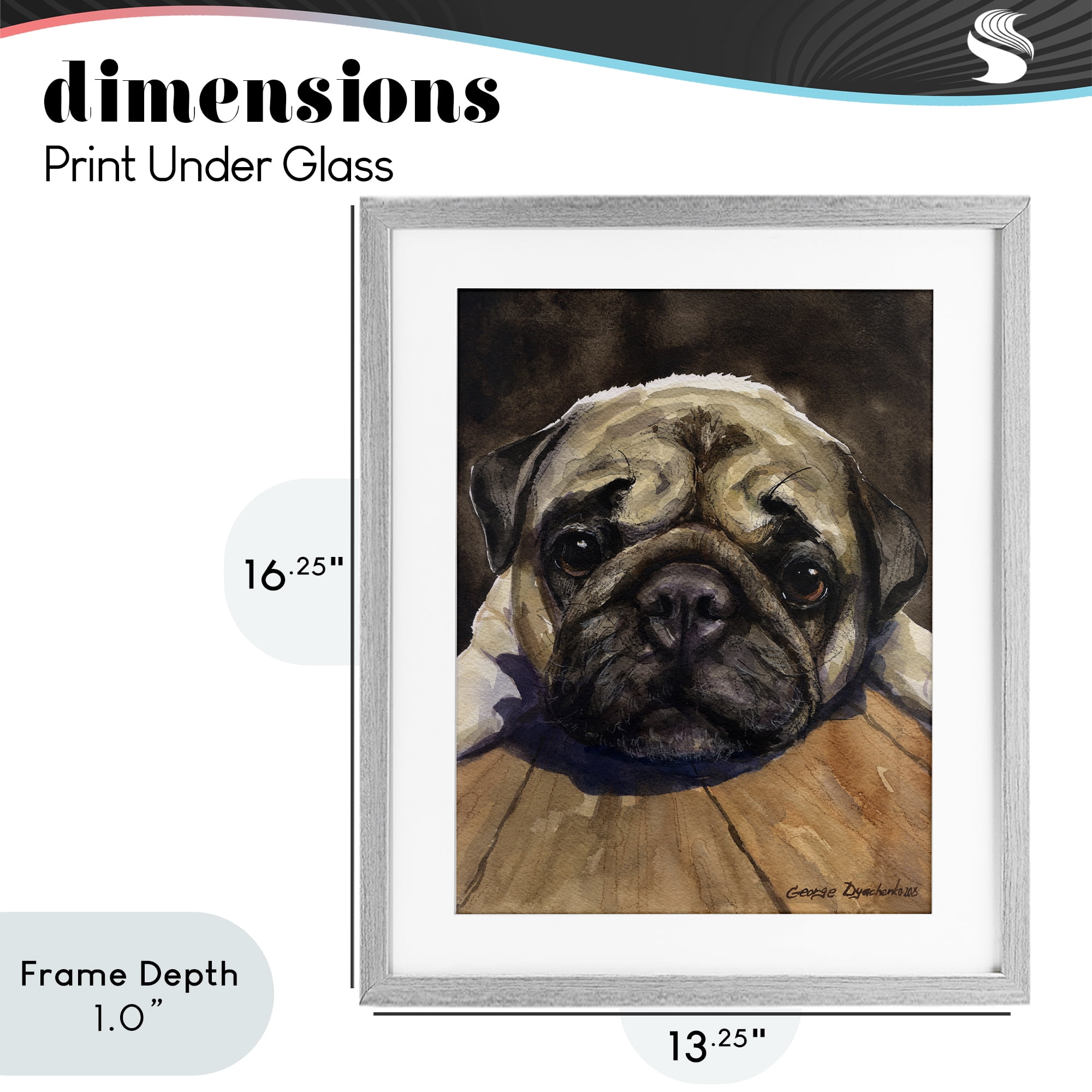 Stupell Industries Pug Soulful Portrait Gray Framed Print Under Glass, design by George Dyachenko