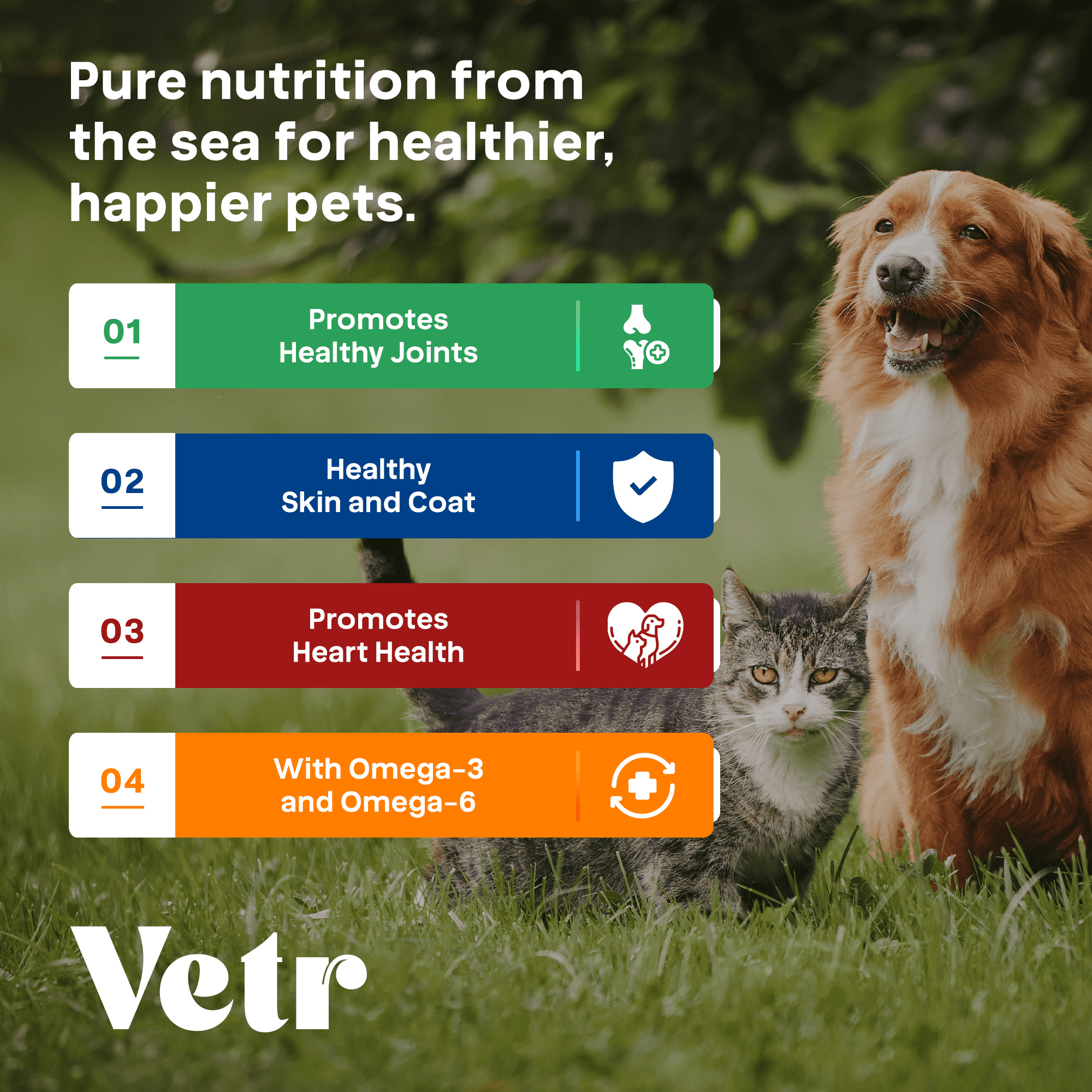 Norwegian Salmon Oil for Dogs & Cats, 16.9 oz - Omega 3 Fish Oil for Healthy Skin, Shiny Coat, Joint & Heart Health