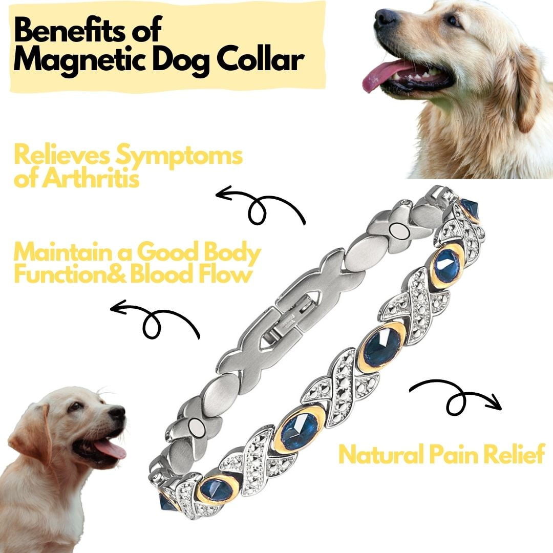 Magnetic dog collars for arthritis best sale